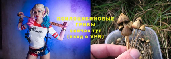 круглые Карталы