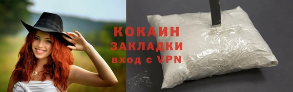 мескалин Карпинск