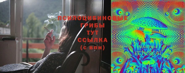 мескалин Карпинск
